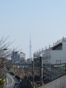 上中里跨線橋から東京スカイツリーを望む